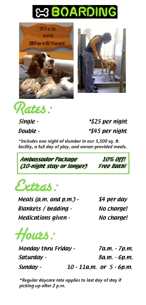 dog,boarding,doggy,daycare,pet,groomer,grooming,richmond,henrico,short,pump,innsbrooke,va