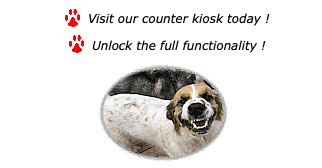 dog,boarding,doggy,daycare,pet,groomer,grooming,richmond,henrico,short,pump,innsbrooke,va