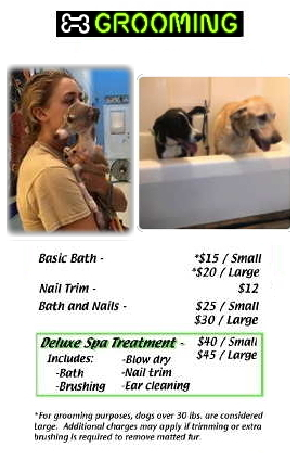 dog,boarding,doggy,daycare,pet,groomer,grooming,richmond,henrico,short,pump,innsbrooke,va