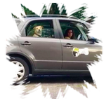 kennel va,kennel richmond,kennel henrico,dog,boarding,doggy,daycare,pet,groomer,grooming,richmond,henrico,short,pump,innsbrooke,va